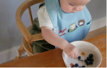 bibs