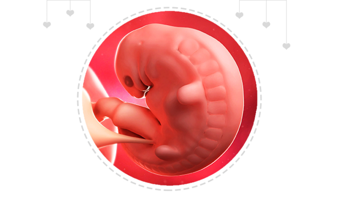 Paragraph Image