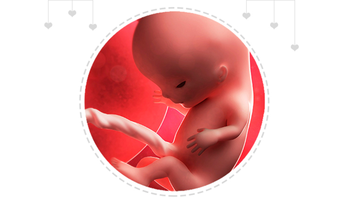 Paragraph Image