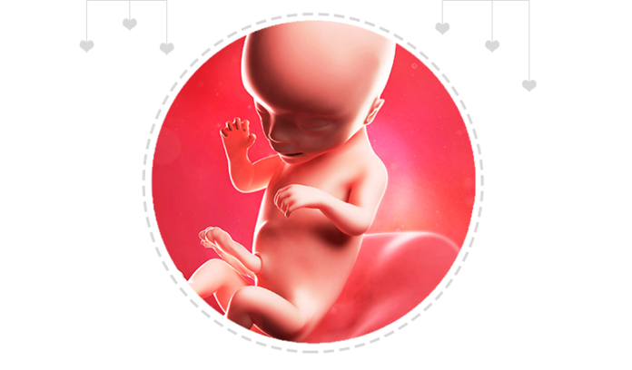 Paragraph Image