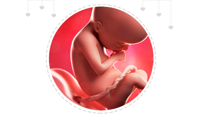 Paragraph Image
