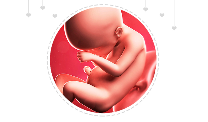 Paragraph Image