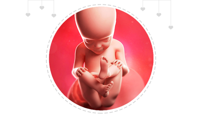 Paragraph Image