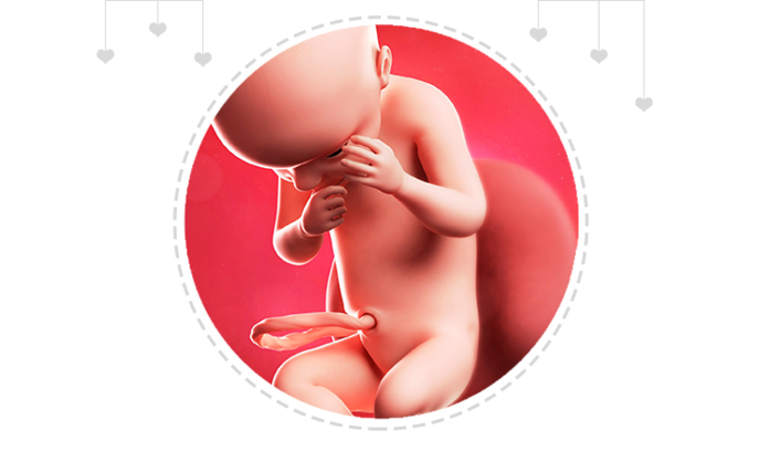 Paragraph Image