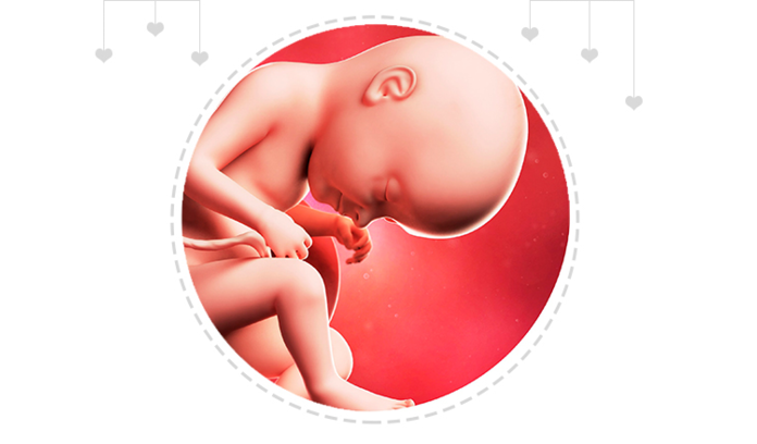 Paragraph Image