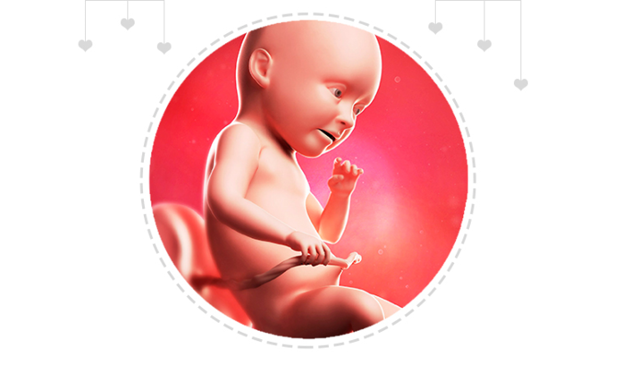 Paragraph Image