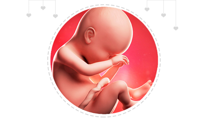 Paragraph Image