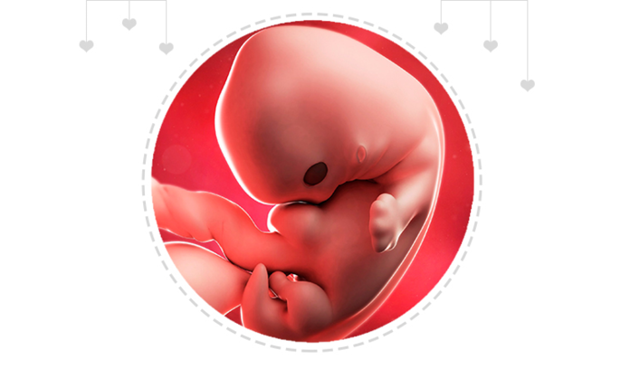 Paragraph Image