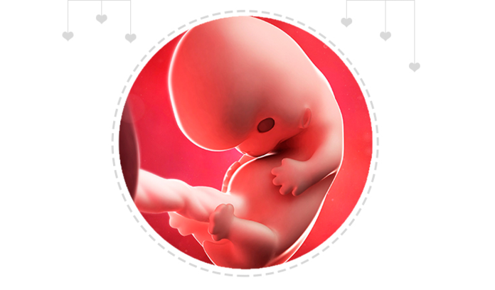 Paragraph Image