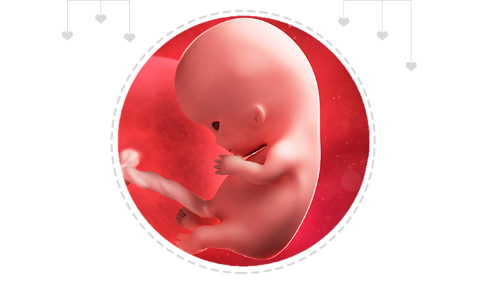 Paragraph Image